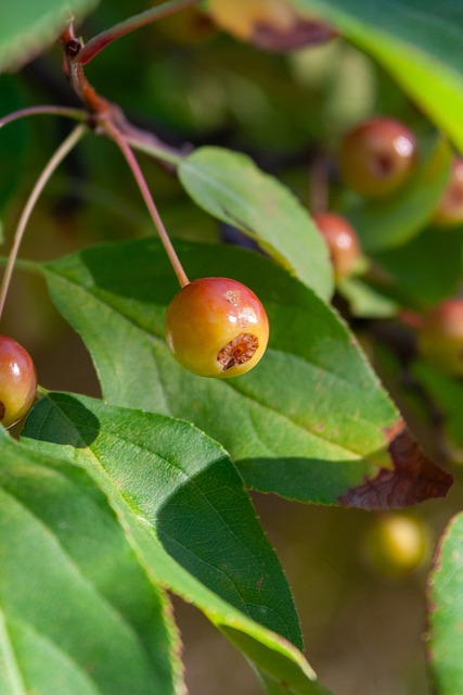 完成国家队首秀，帕尼切利：能亲眼见到梅西，真的太美好了