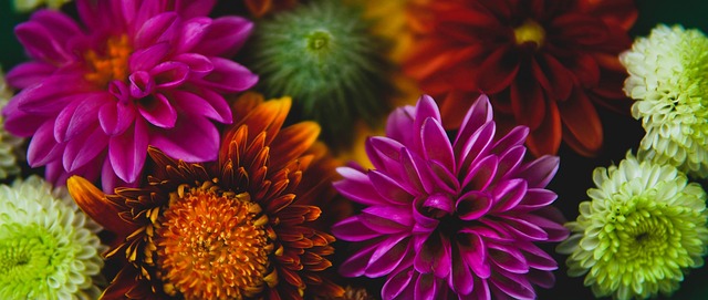 伊利牛奶开启促销活动：买三箱牛奶即送CBA新赛季球票一张